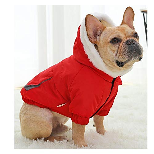 RKL XL Perro Ropa de otoño y la Capa del Invierno del Perro del algodón Engrosamiento Pitbull amasados ​​Francesa Vaca Corgi Mediana Perro Caliente de la Capa del Perro (Color : Red-S(5.5-7.5KG))